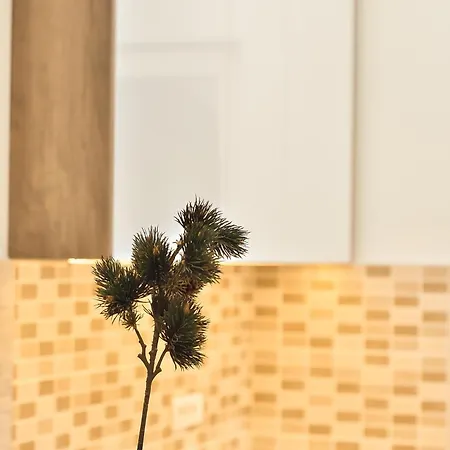 Hedonist-belgrade Nest Belgrado